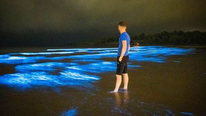 Fountainstown Beach: Bioluminescent plankton light up Cork beach