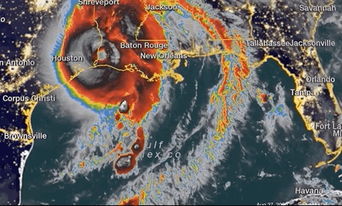 Hurricane Laura batters Louisiana