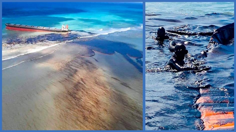 MAURITIUS OIL SPILL: VOLUNTEERS USE HAIR AND STOCKINGS TO LIMIT DAMAGE
