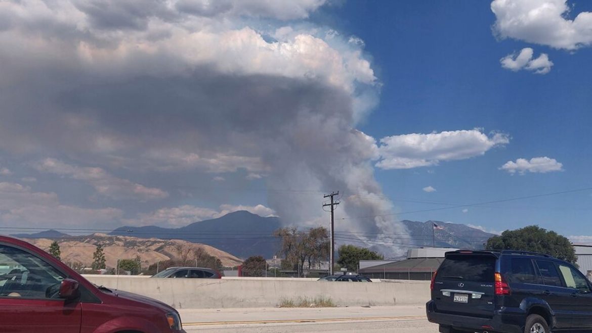 Gender-reveal pyrotechnic sparks massive fire