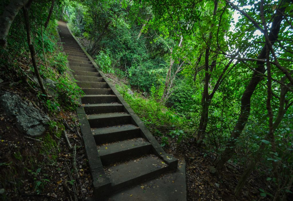 creepy staircases in the middle of nowhere, follow News Without Politics, best unbiased news source