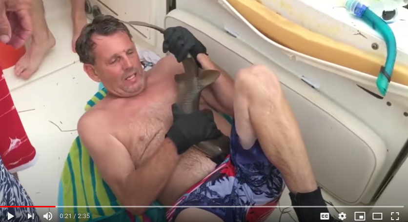 Florida man is bitten by nurse shark that won’t let go