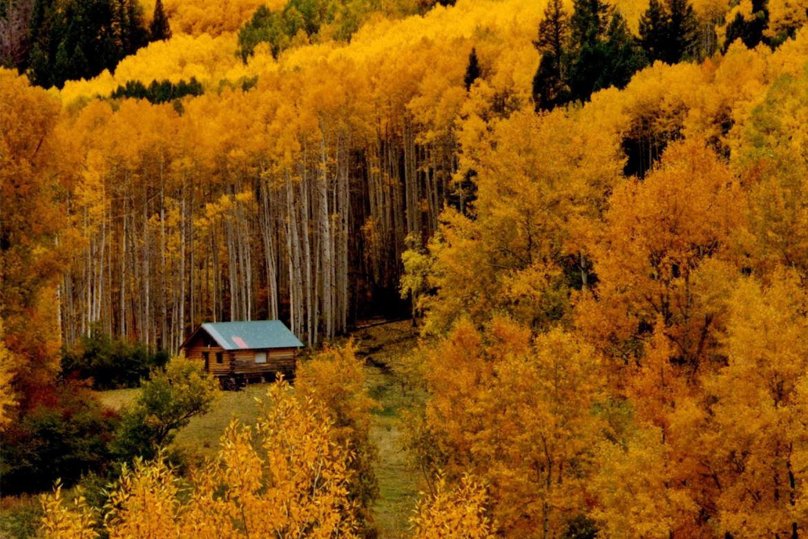 50 Most Stunning Fall Pictures Across America