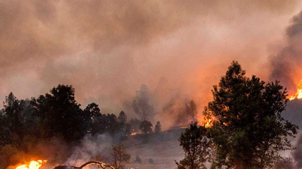 West coast fires Nonpartisan News without politics