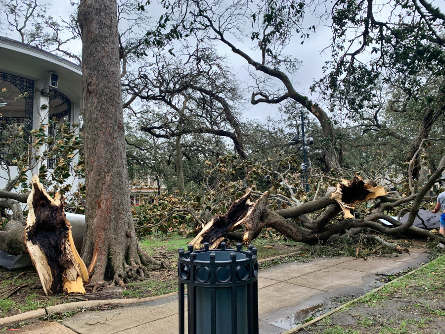 hurricane sally damage News without politics 