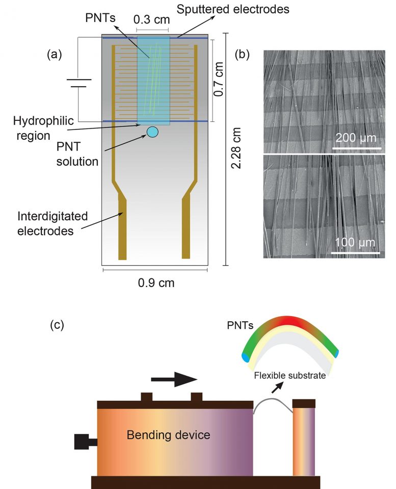 Electricity production from Peptides 