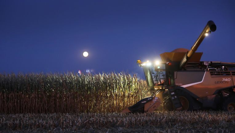 Michigan hunter, 14, killed by corn harvester