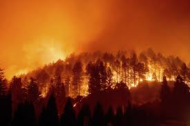 California renewed fire threat, stay updated from News Without Politics, unbiased