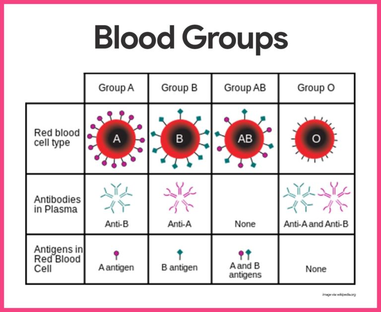 new evidence, blood type and covid susceptibility, updates from News Without Politics, unbiased