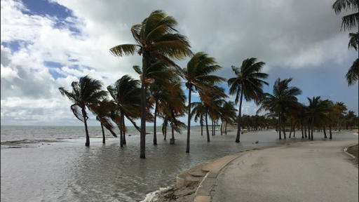 King tides are coming! Here’s when they’ll be worst