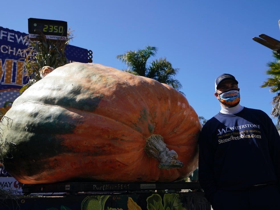 2350-pound pumpkin, ‘The Tiger King,’ wins