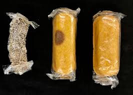 scientists examining long-expired twinkies to see what is wrong with them, follow daily News Without Politics