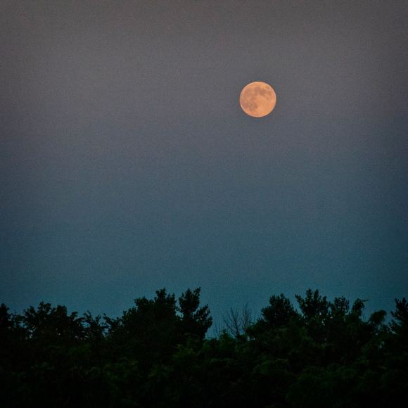 Blue moon to appear on Halloween-what time?, be updated on when at News Without Politics, news without bias