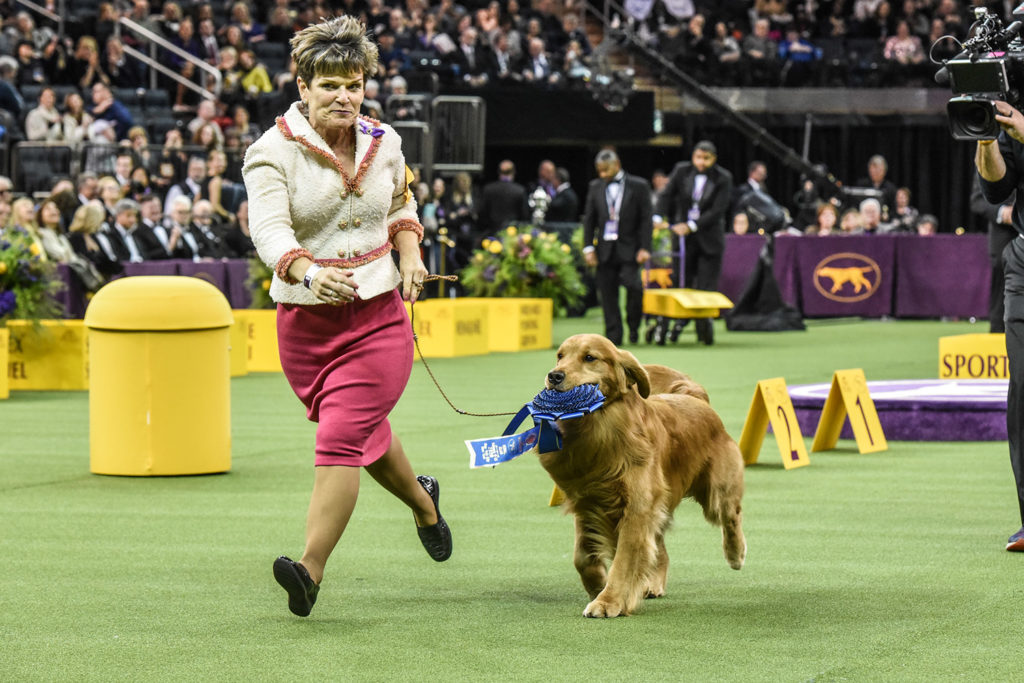 Westminster Dog Show Is Moving! News Without Politics
