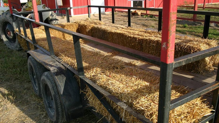 Rural Illinois hayride crash kills 1, injures 19