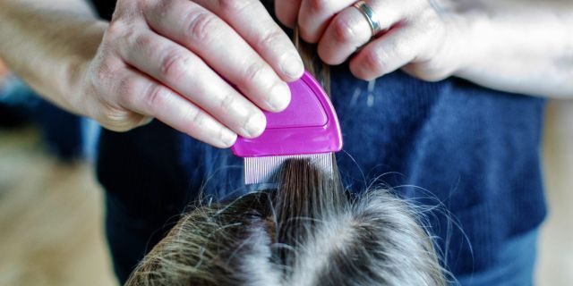 FDA Approves Lotion for Nonprescription Use to Treat Head Lice, learn more about lice and treatment at News Without Politics, without bias