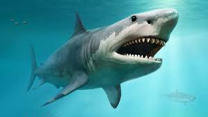 Cannibalism in womb helped megalodon sharks become giants