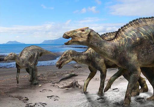 Boy, 12, finds fossil of dinosaur in Alberta