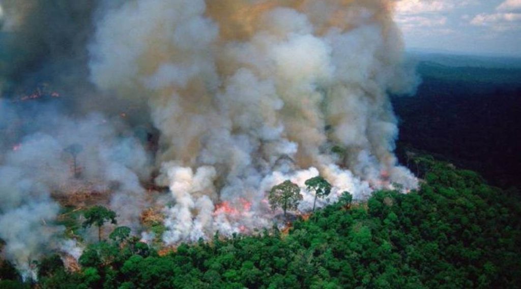 Brazil wildfire, nonpartisan News Without Politics, News Without Bias