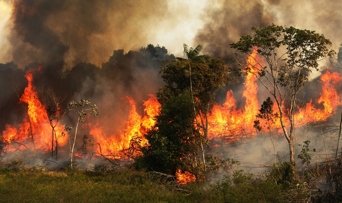 Wildfire burns Brazil’s largest wetlands- updates