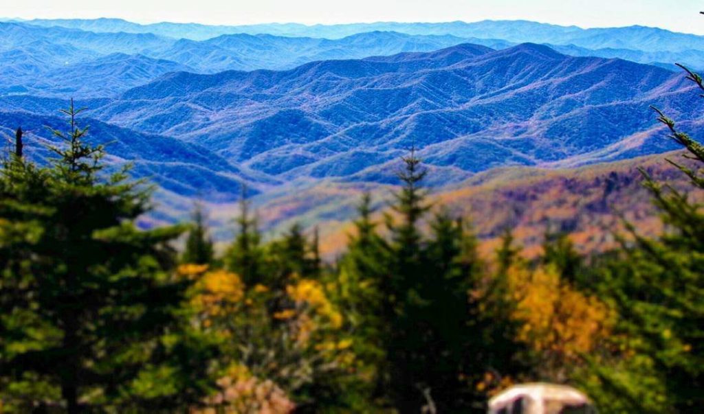 fall foliage, Smoky Mountains, follow  News Without Politics, non political unbiased news