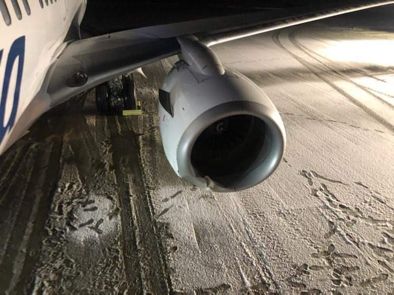 Alaska Airlines jet hits brown bear while landing , stay informed about the accident from news without bias, News Without Politics