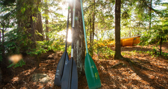 Nature is calling: Here’s how to poop properly in the great outdoors, best unbiased news source for learning about the great outdoors, News Without Politics