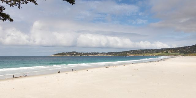 A Texas woman is helping the man who saved her daughter from drowning at Monterey Beach but raising money for his wedding. News Without Politis, non-partisan