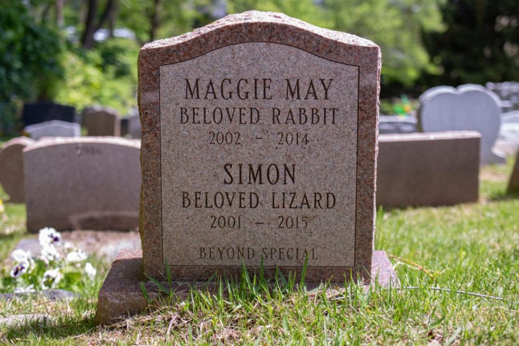 America’s first pet cemetery, beloved animals find a peaceful resting place, learn more from News Without Politics, unbiased
