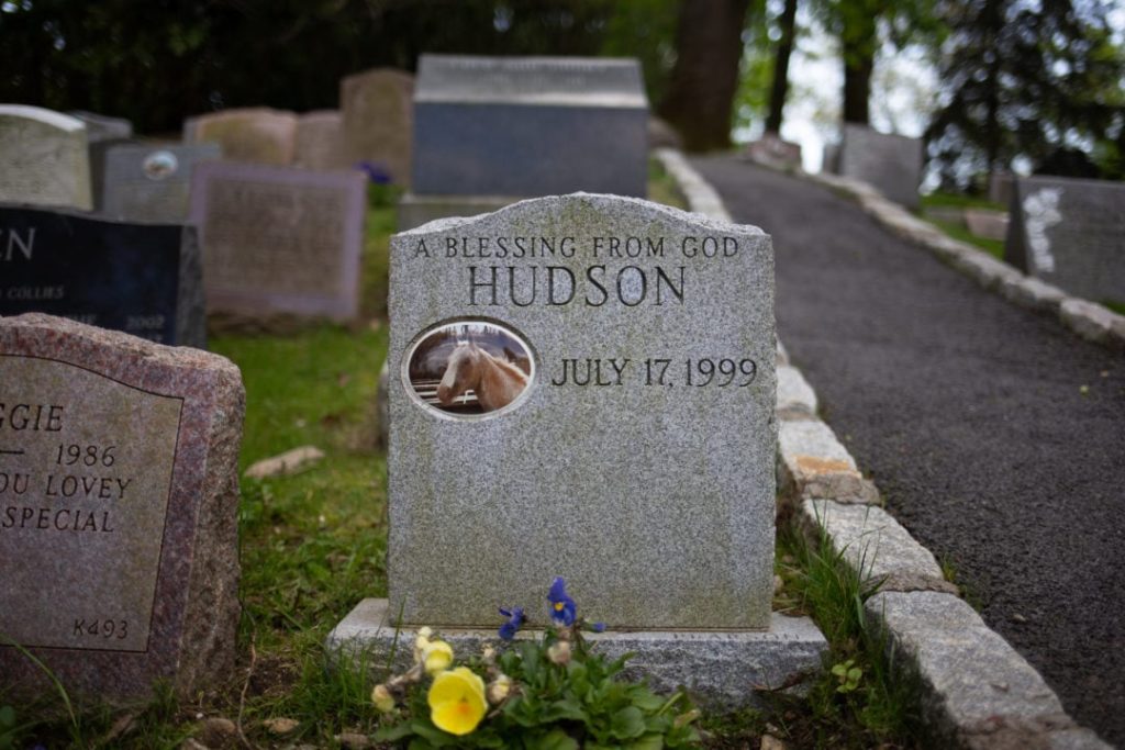 America’s first pet cemetery, beloved animals find a peaceful resting place, Hartsdale Pet Cemetery, read more, News Without Politcs