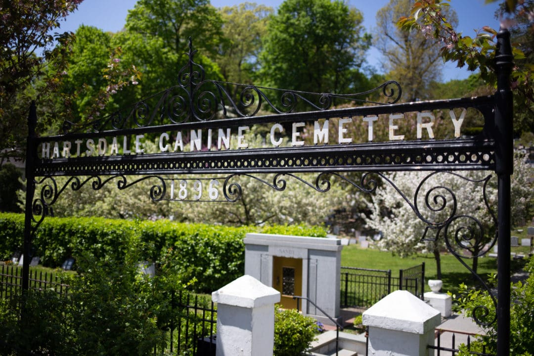 America’s first pet cemetery, beloved animals find a peaceful resting place