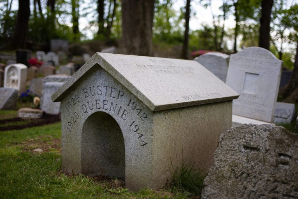 America’s first pet cemetery, beloved animals find a peaceful resting place, stay informed about unbiased animal news stories