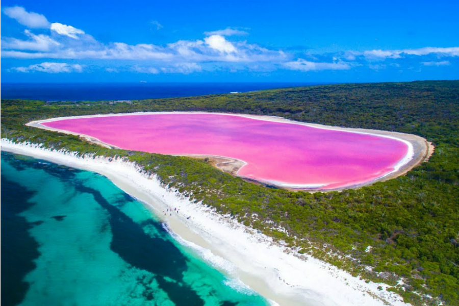 Bubble-gum Pink Lakes Are Nature’s Wonders