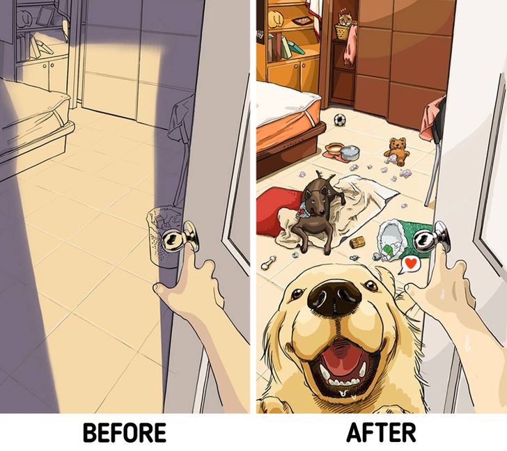 Lifestyle, Artist Illustrates What Life is Like Before and After You Get Pets, stay updated at NWP without bias