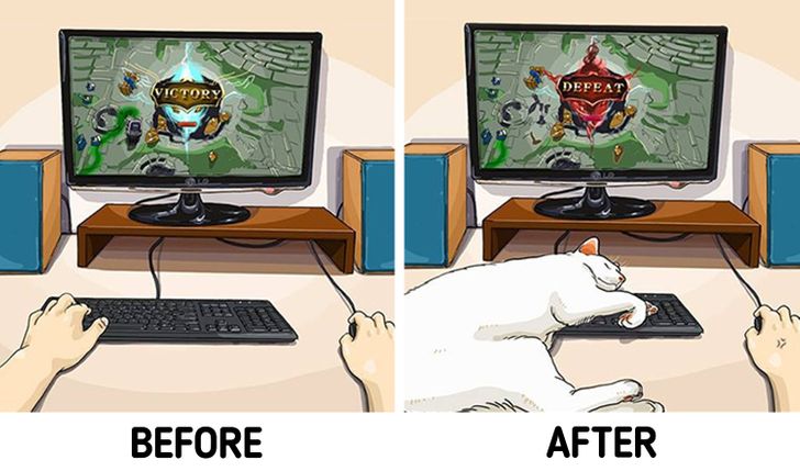 Before and after, Artist Illustrates What Life is Like Before and After You Get Pets, see pics, News Without Politics, unbiased