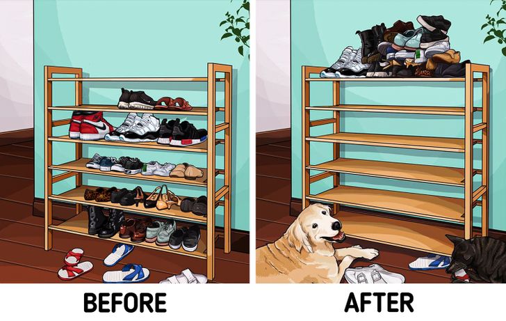 Artist Illustrates What Life is Like Before and After You Get Pets, news unbiased, non-partisan daily