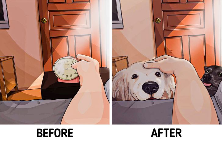 Artist Illustrates Life Before and After You Get Pets