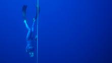 Free diving 112 meters into the depths, watch video, NWP, unbiased