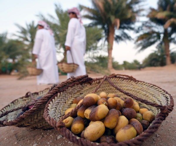 Abu Dhabi, food supply, NWP, unbiased