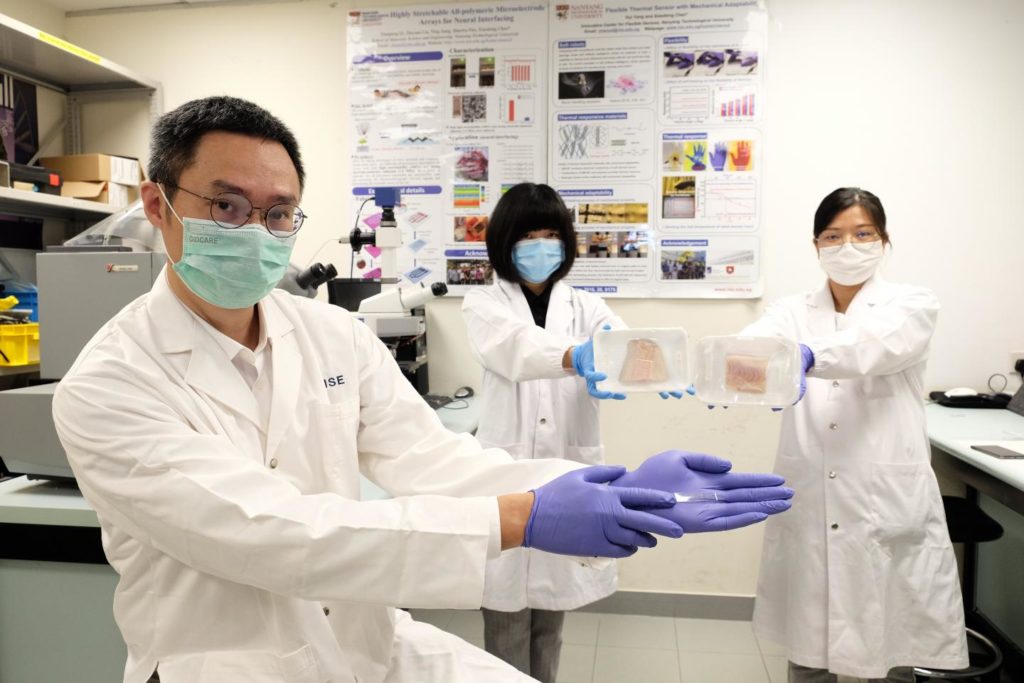 Scientists develop AI-powered 'electronic nose' to sniff out meat freshness, see how it works, News Without Politics, amazing news unbiased