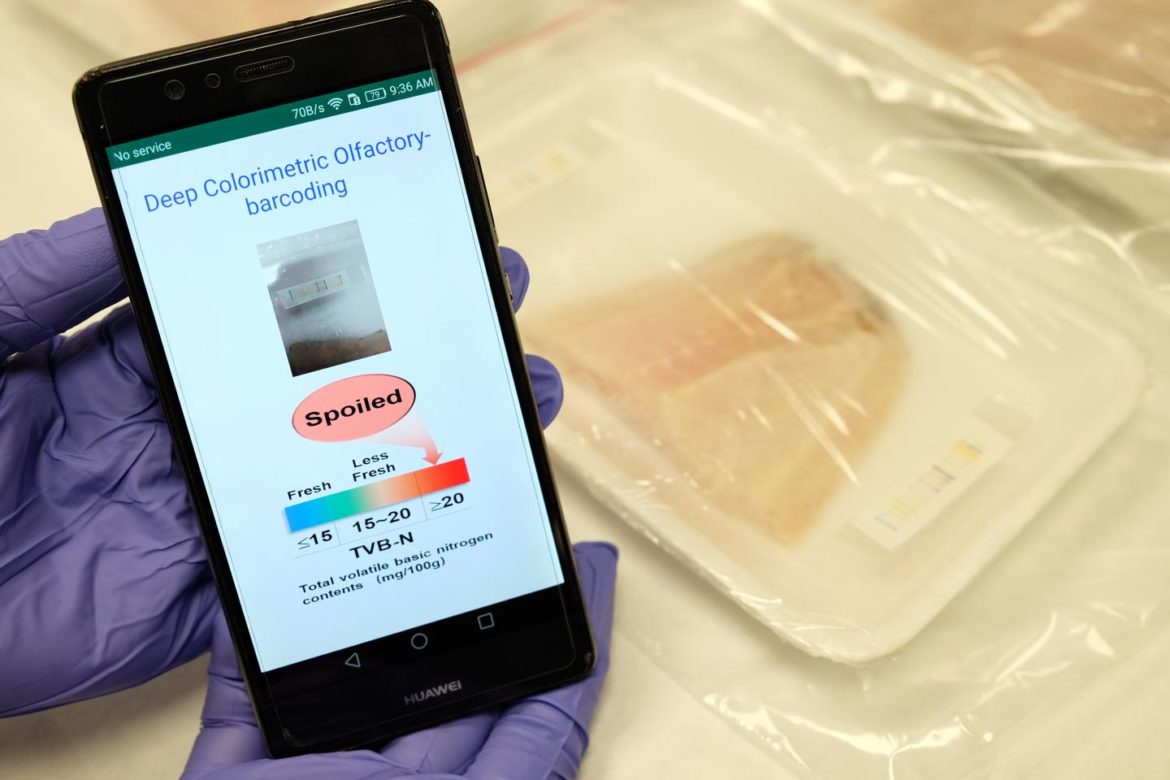 AI-powered ‘electronic nose’ to sniff out meat freshness-scientists develop