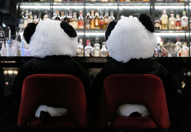 Restaurant bears out pandemic-furry customers, stay up to date on more odd and amusing non political news stories, News Without Politics