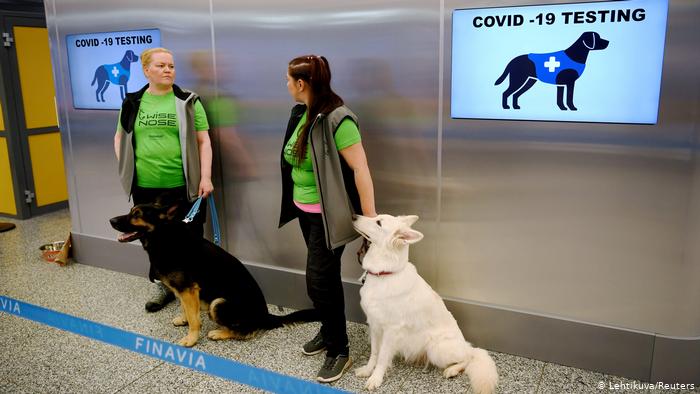 Best unbiased news source News without politics Dogs sniff tor covid,How safe is air travel during COVID-19?