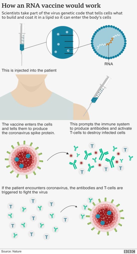 News without bias or influence. Non political News without politics How an RNA vaccine works Unbiased news without politics