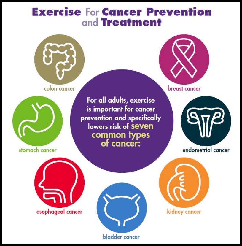 Nonpolitical news without politics exercise for cancer prevention, Exercise stalls cancer growth through the immune system