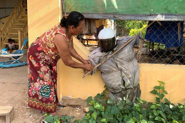 Cambodian villagers trust magic scarecrows to ward off coronavirus, follow News Without Politics, updates, coronavirus, scarecrows