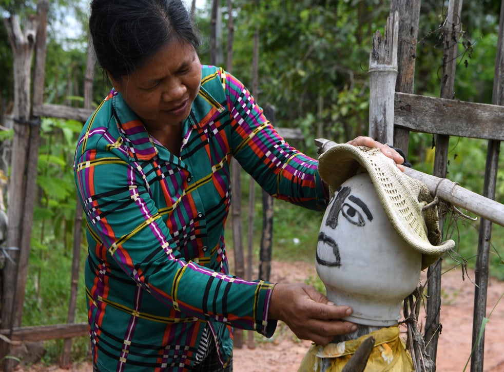 Cambodian villagers trust magic scarecrows to ward off coronavirus