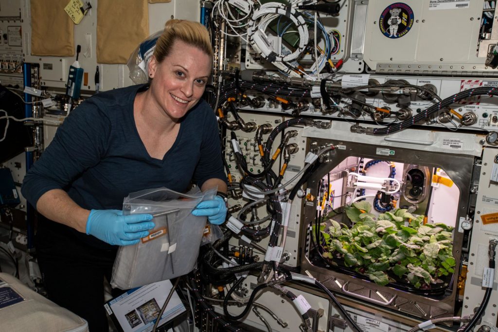 NASA Astronauts Harvest First Radish Crop in Space, International Space Station, science, food, follow News Without Politics, NWP unbiased