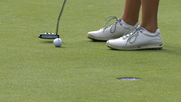 What is AimPoint putting? How does it work?