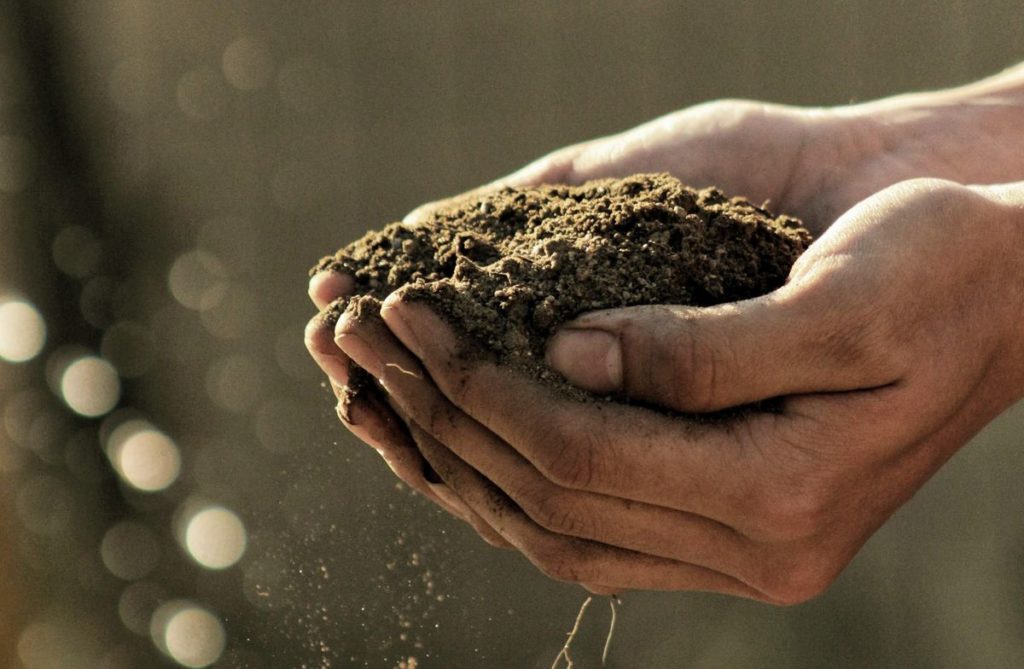 World Soil Day 2020, learn more about what world soil day means, 2020, best most comprehensive environmental and world news source